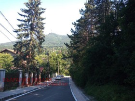 ����� ������� ������,���� �����, �������