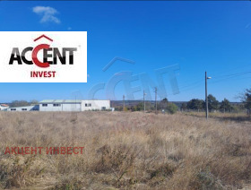 ������ ������� ������