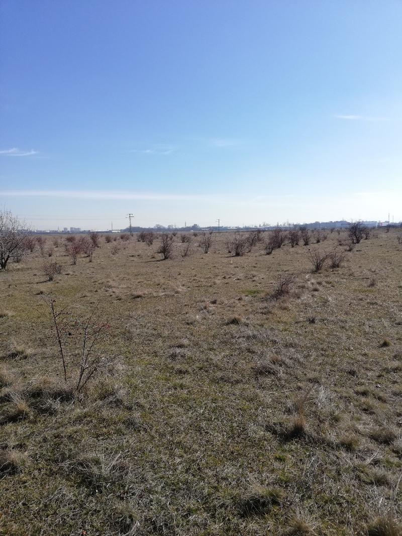 Προς πώληση  Οικόπεδο Σοφηια , Ρεπυβληκα , 4700 τ.μ | 41788303 - εικόνα [3]