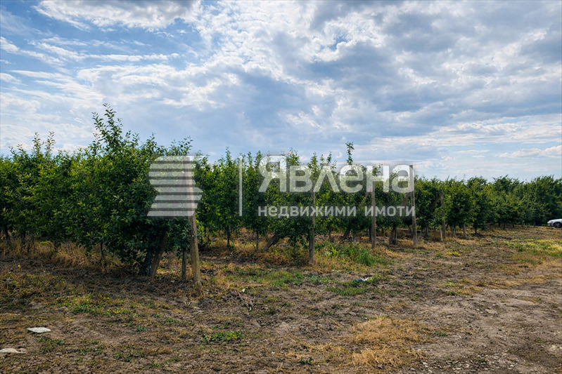 Продава ПАРЦЕЛ, с. Главиница, област Пазарджик, снимка 5 - Парцели - 54259611