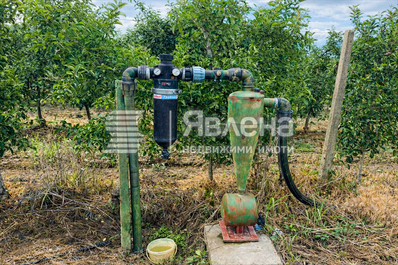 Продава ПАРЦЕЛ, с. Главиница, област Пазарджик, снимка 2 - Парцели - 54259611