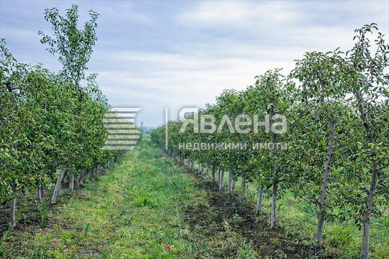 Продава ПАРЦЕЛ, с. Главиница, област Пазарджик, снимка 6 - Парцели - 54259611