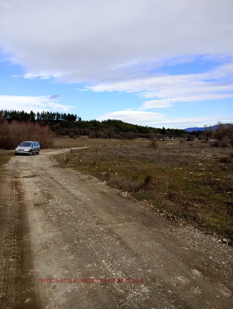 Продава ЗЕМЕДЕЛСКА ЗЕМЯ, с. Баня, област Благоевград, снимка 2 - Земеделска земя - 53231270