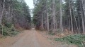 Продава ПАРЦЕЛ, област Пловдив, с. Марково • 55000 € / 107570.65 лв. • 71814851 2