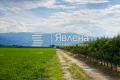 Продава  Земеделска земя област Пазарджик , с. Главиница , 58 дка | 59139338 - изображение [3]