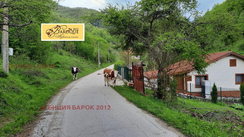 Продава ПАРЦЕЛ в област Ловеч, с. Васильово - 2550 кв.м / 45 000 € » 88 012.35 лв., АГЕНЦИЯ БАРОК 2012