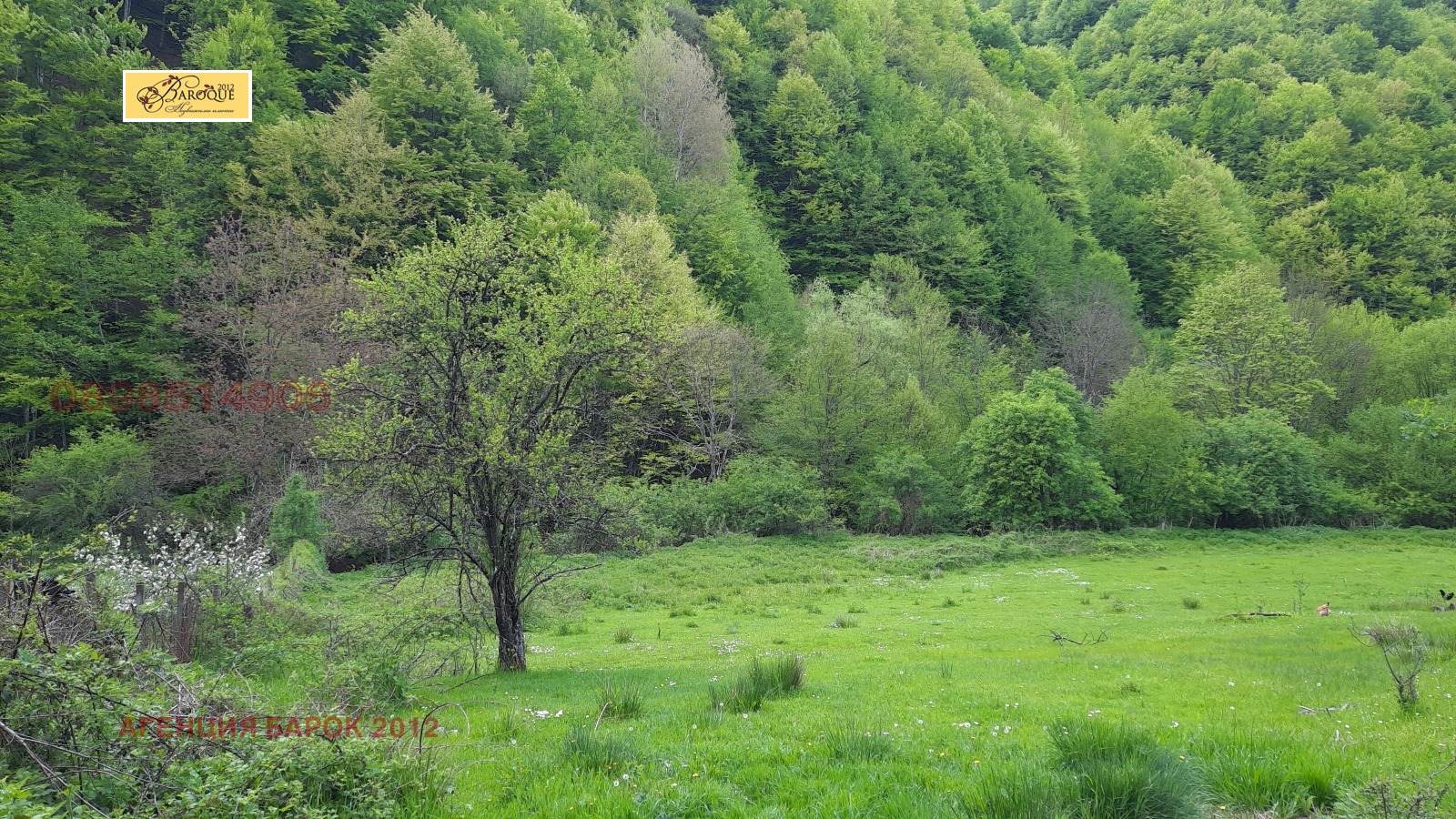 ������� ������ | Imot.bg � ����������� 7