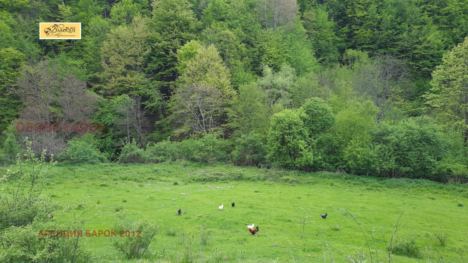 ������� ������ | Imot.bg � ����������� 8