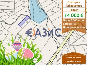 ������ ������� ������