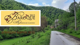 ����� ������� ������,�. ���������, ������ �����