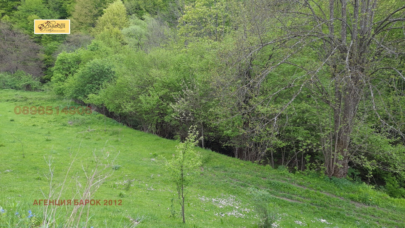 Продава ПАРЦЕЛ, с. Васильово, област Ловеч, снимка 8 - Парцели - 53971011