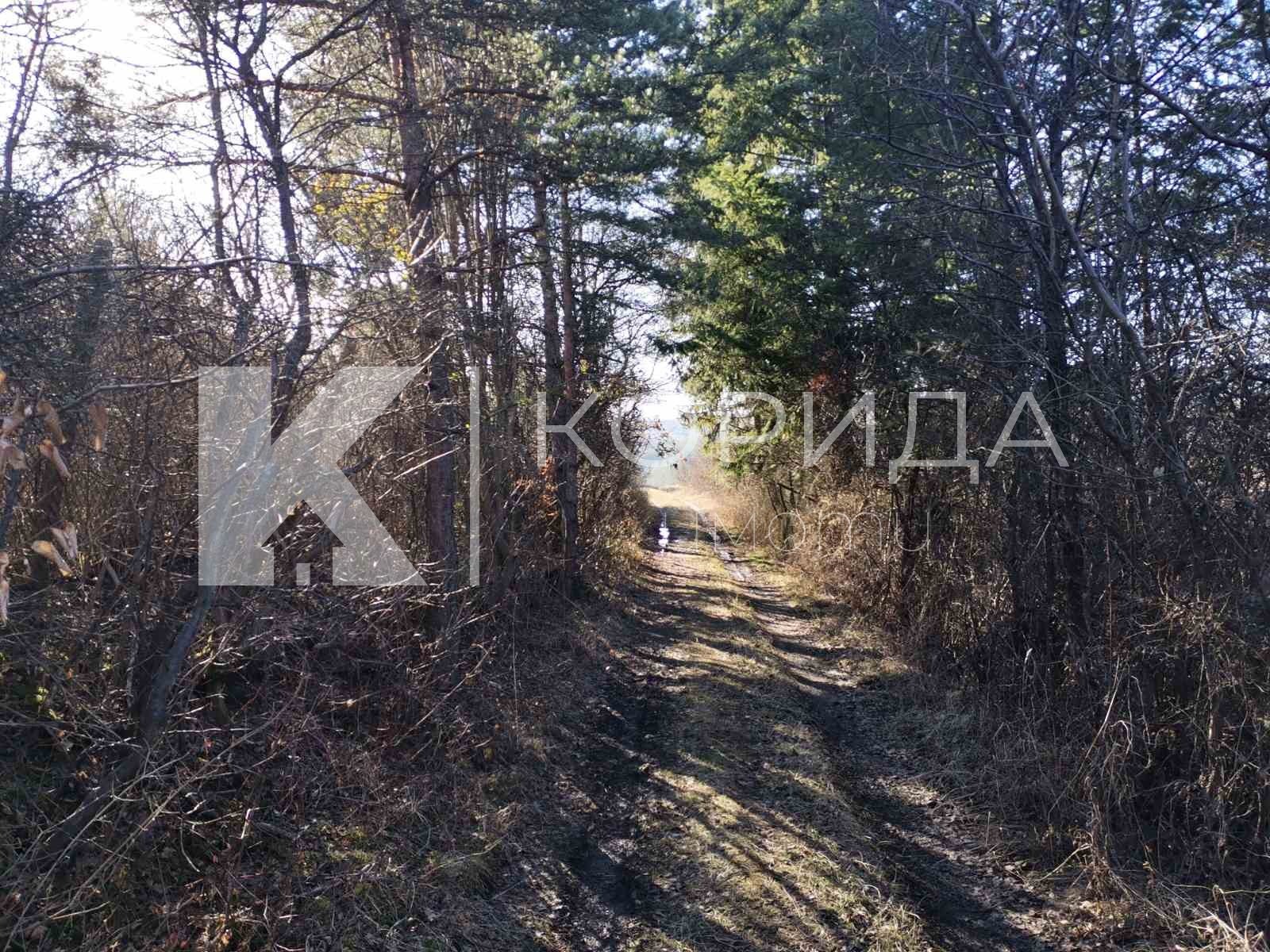 Продава ПАРЦЕЛ | Imot.bg — изображение 6