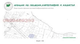 Парцел м-т Цигов чарк, област Пазарджик