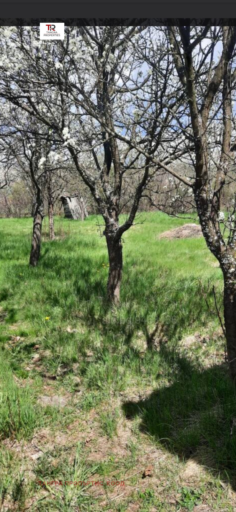 Προς πώληση  σπίτι περιοχή Πέρνικ , Δρυγαν , 50 τ.μ | 36973947 - εικόνα [2]