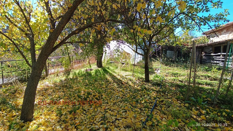 Продава КЪЩА, с. Драгоево, област Шумен, снимка 5 - Къщи - 52244779