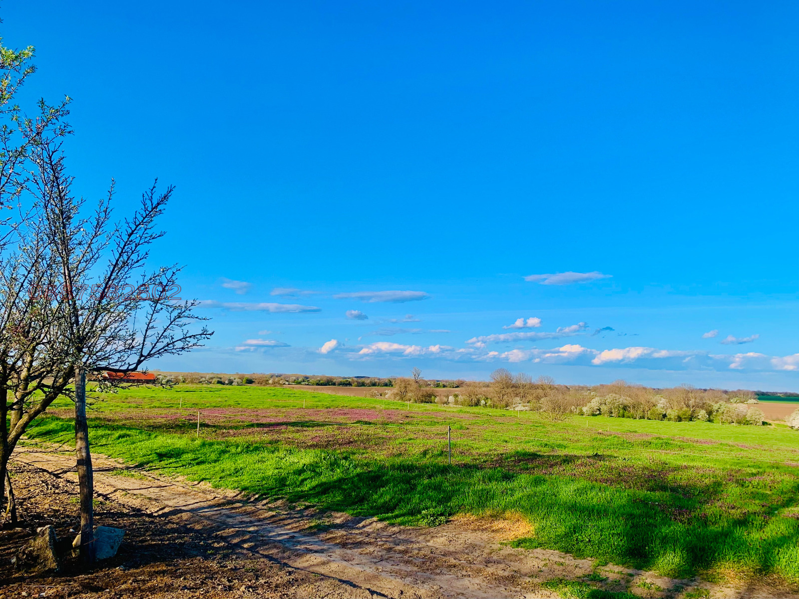 Продава ПАРЦЕЛ, с. Сандрово, област Русе, снимка 3 - Парцели - 54153868