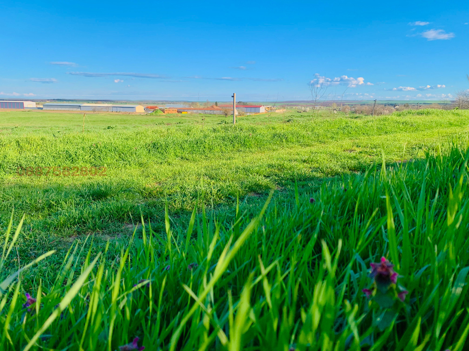 Продава ПАРЦЕЛ, с. Сандрово, област Русе, снимка 8 - Парцели - 54153868