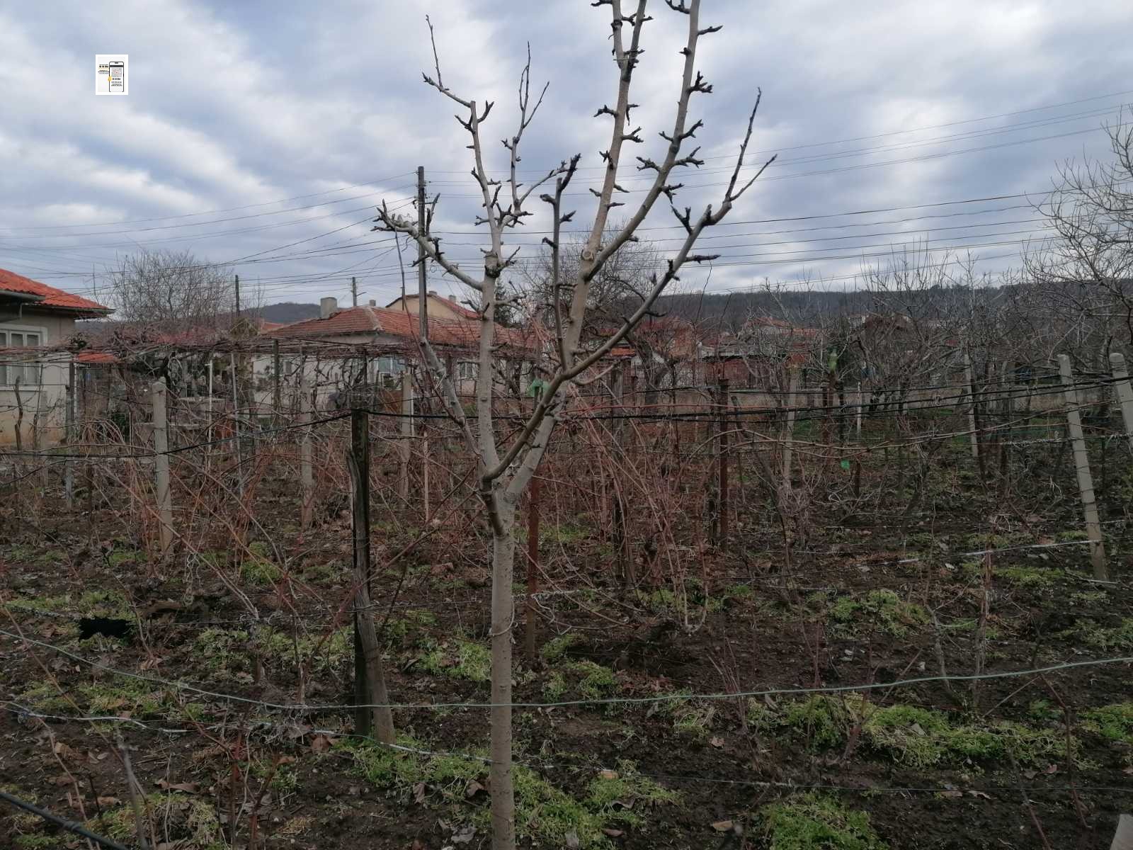 ������� ������ | Imot.bg � ����������� 3