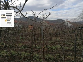 ����� ������� ������,�. ��������, ������ ������