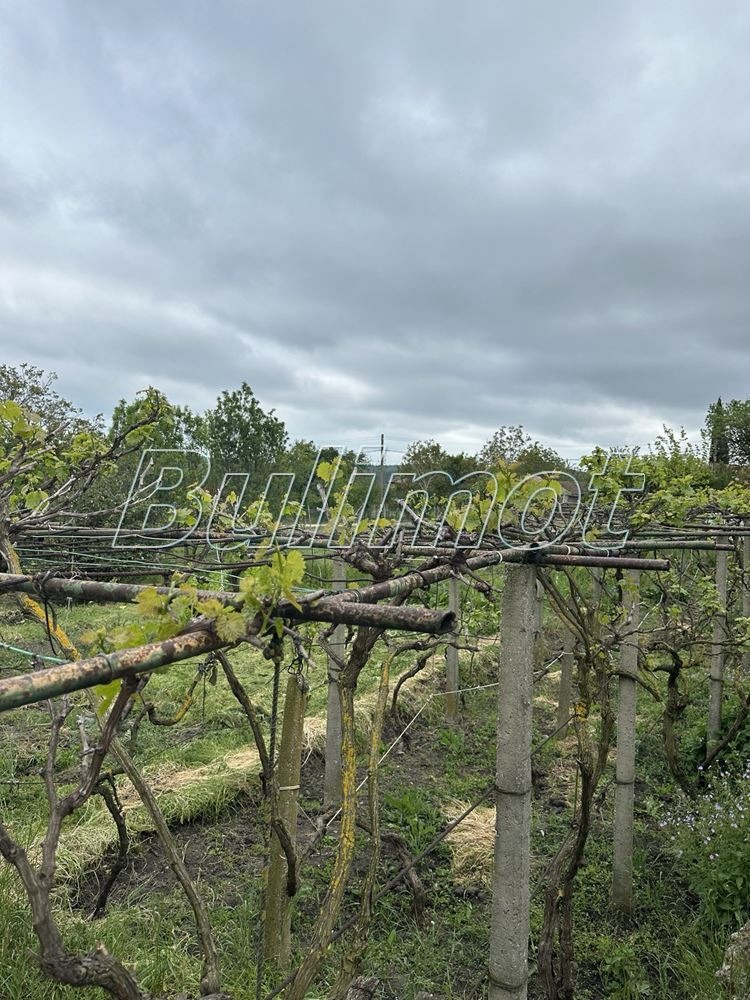 Til salg  Hus region Varna , Osenovo , 110 kvm | 25409354 - billede [2]