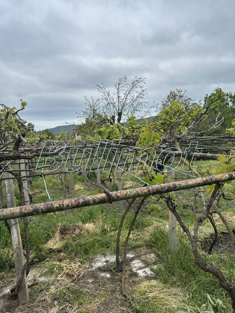 Til salg  Hus region Varna , Osenovo , 110 kvm | 25409354 - billede [5]