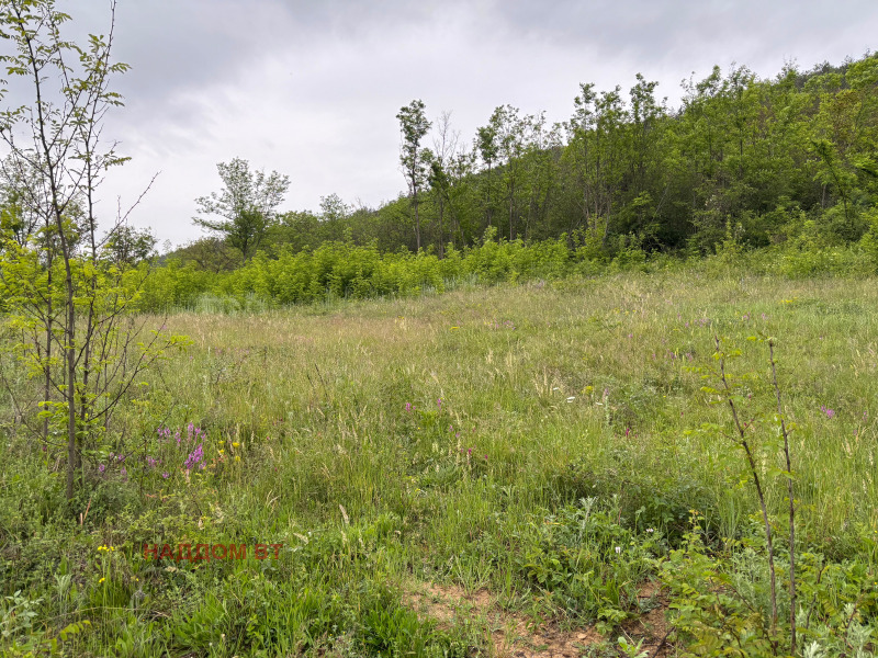 Продава ПАРЦЕЛ, гр. Дебелец, област Велико Търново, снимка 8 - Парцели - 52634860