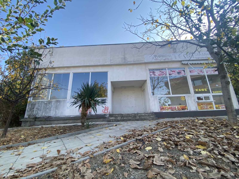 Продава  Магазин област Пловдив , гр. Асеновград , 225 кв.м | 77848770