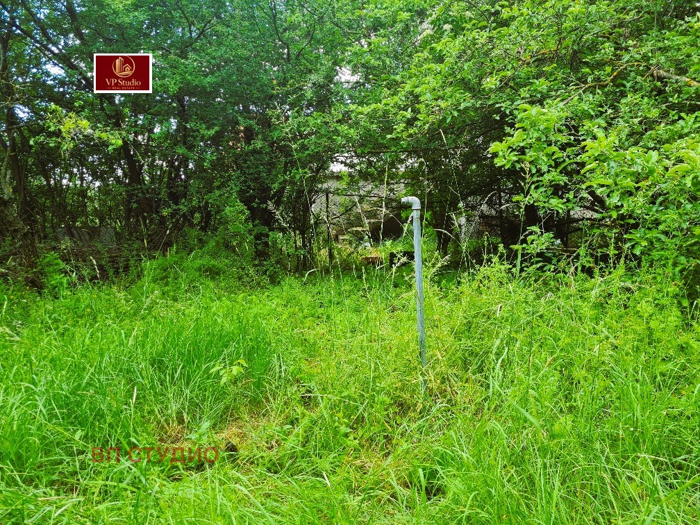 Продава ПАРЦЕЛ, с. Кошарево, област Перник, снимка 3 - Парцели - 54817523