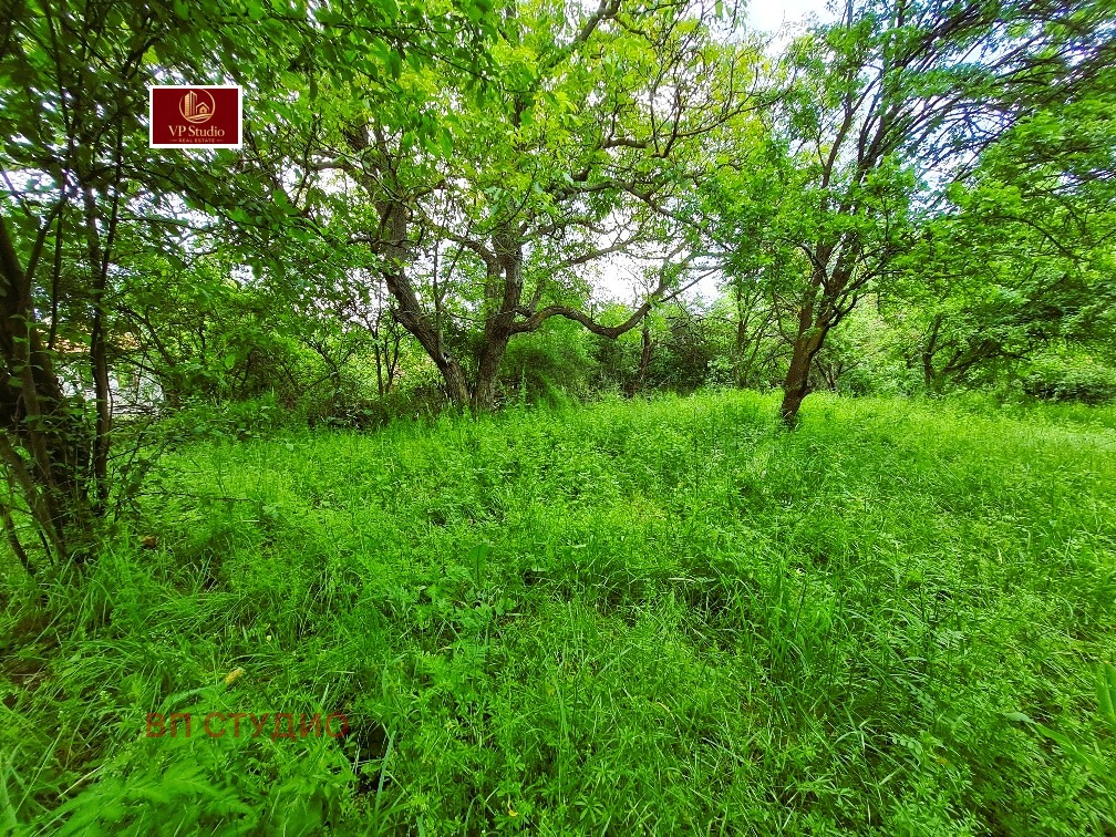 Продава ПАРЦЕЛ, с. Кошарево, област Перник, снимка 5 - Парцели - 54817523