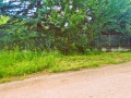 Продава ПАРЦЕЛ, с. Кошарево, област Перник, снимка 7