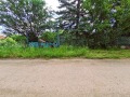 Продава ПАРЦЕЛ, с. Кошарево, област Перник, снимка 2