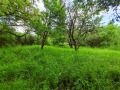Продава ПАРЦЕЛ, с. Кошарево, област Перник, снимка 4