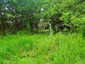 Продава ПАРЦЕЛ, с. Кошарево, област Перник, снимка 3
