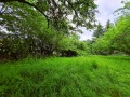 Продава ПАРЦЕЛ, с. Кошарево, област Перник, снимка 1