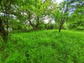 Продава ПАРЦЕЛ, с. Кошарево, област Перник, снимка 5