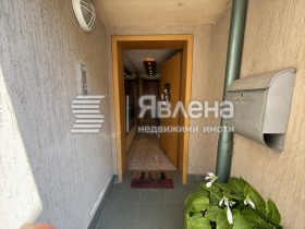 ����� ������� ����,���� �����, ����������� ������