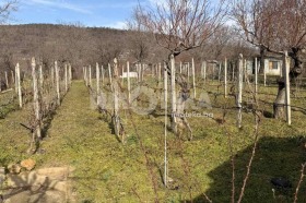 ������� ������ | Imot.bg � ����� ������ 2