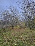 Продава КЪЩА, област Плевен, с. Тученица • 21500 € / 42050.35 лв. • 99791098 4