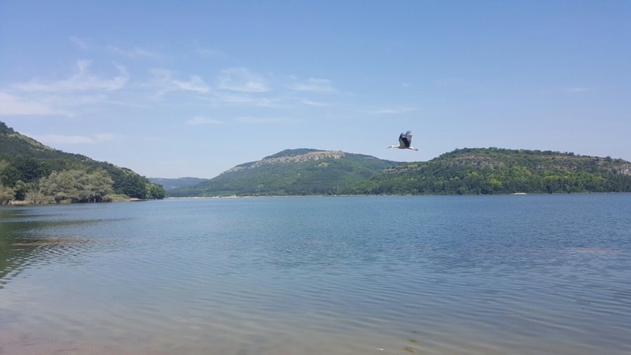 ������� ������ | Imot.bg � ����������� 5