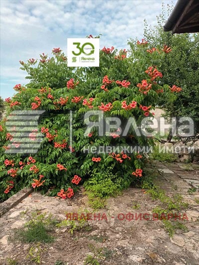 Till salu  Hus region Varna , Neofit Rilski , 80 kvm | 87157204 - bild [10]