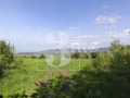 Продава ПАРЦЕЛ, с. Големо Бучино, област Перник, снимка 4