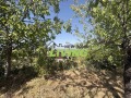 Продава ПАРЦЕЛ, с. Белащица, област Пловдив, снимка 4