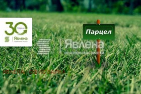 Plot Vinitsa, Varna