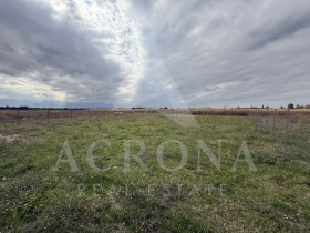 ������ ������� ������