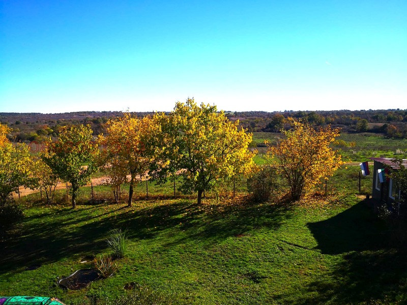 Продава КЪЩА, с. Поляна, област Ямбол, снимка 2 - Къщи - 53482616