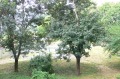 Продава 3-СТАЕН, гр. София, Славия, снимка 5