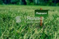 Продава ПАРЦЕЛ, град Варна, Виница • 150000 € • 10492873 — Holmes.bg