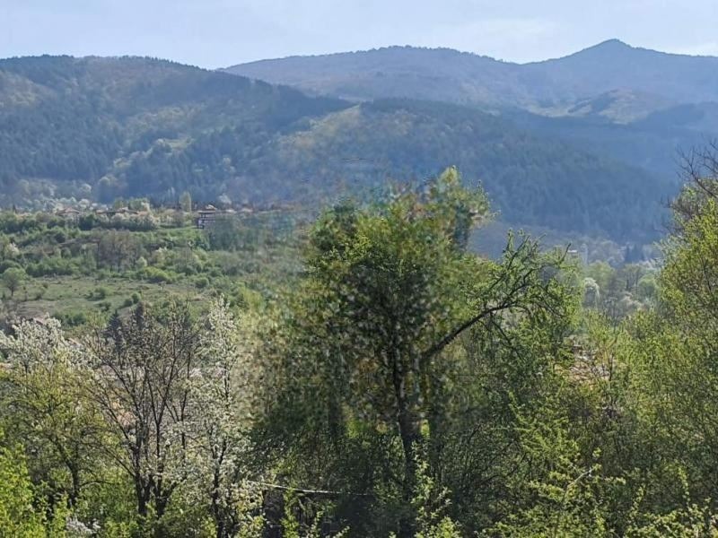 Продава ПАРЦЕЛ | Imot.bg — изображение 3