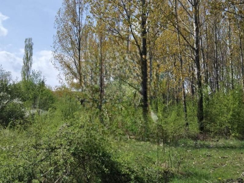 Продава ПАРЦЕЛ | Imot.bg — изображение 2