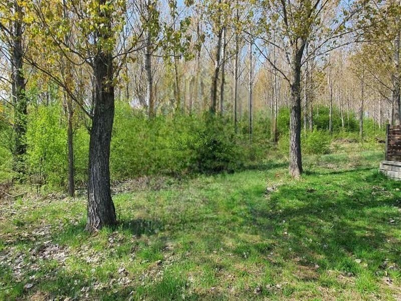 Продава ПАРЦЕЛ | Imot.bg — изображение 4